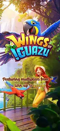 wings of guazu